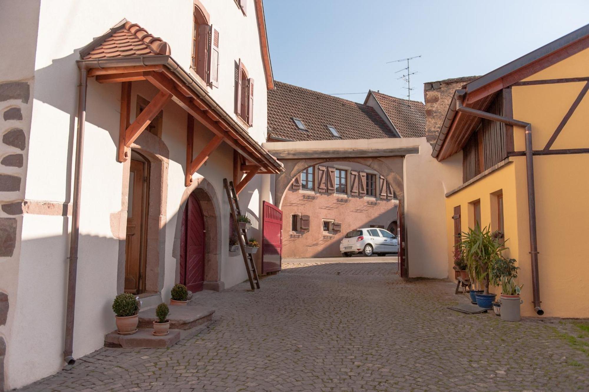 La Maison D'Emilie Pfaffenheim エクステリア 写真